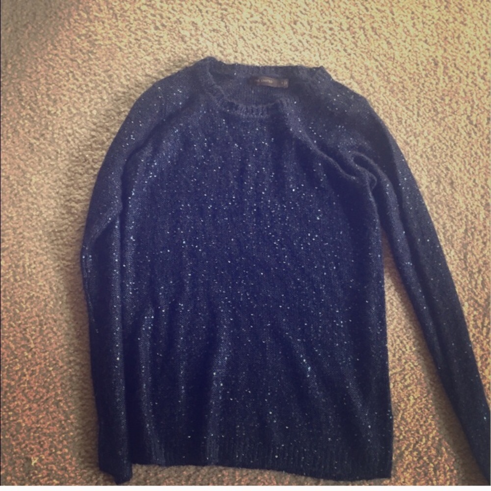 🔶🌟 The Limited - Pretty sweater with sequins